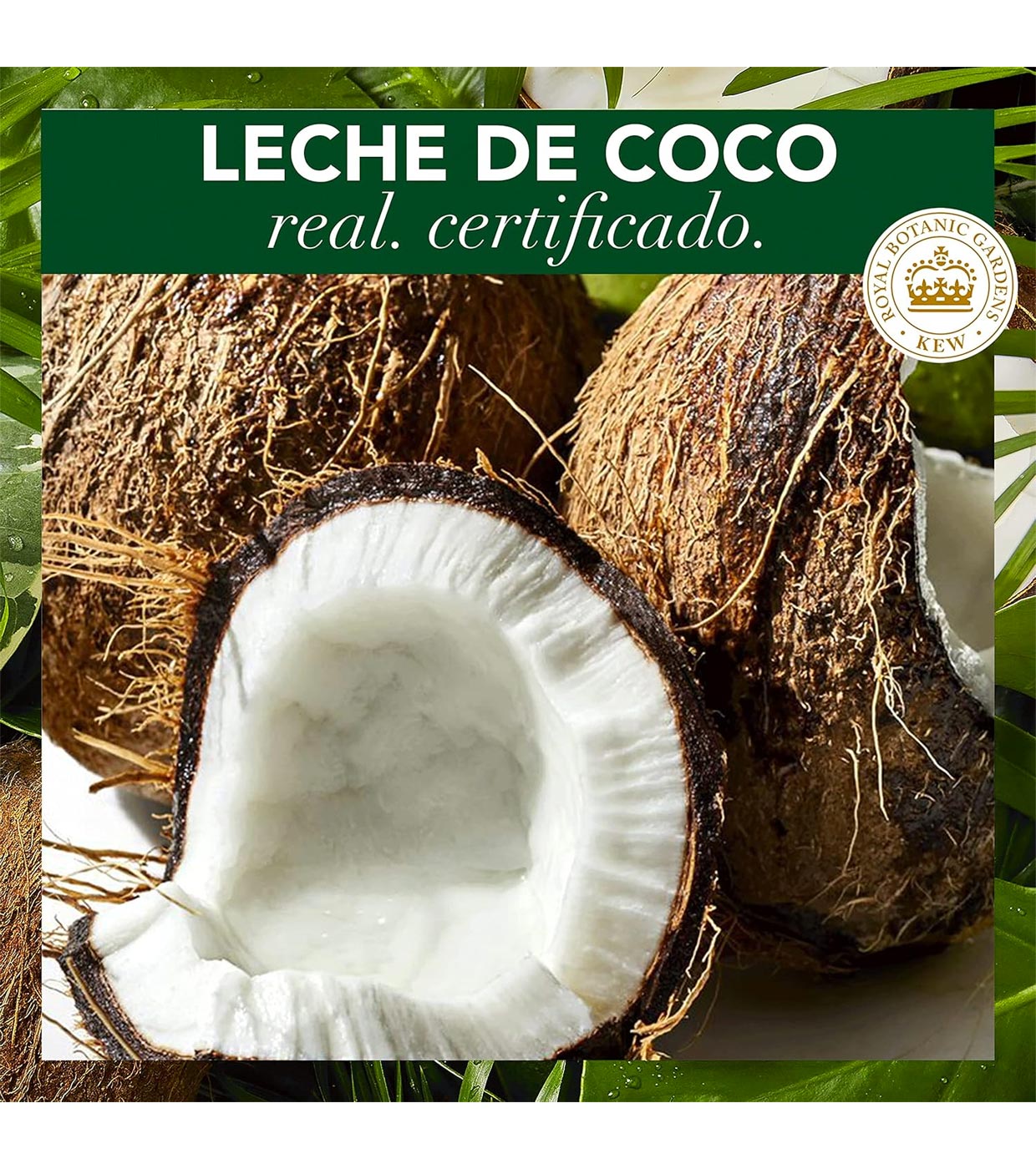 Buy Herbal Essences - Shampoo + mask pack with coconut milk