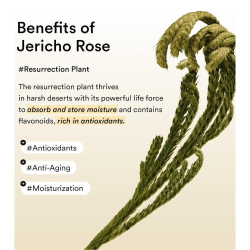 Abib - Eye Contour Patches Collagen Jericho Rose Jelly