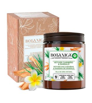 Air Wick - *BOTANICA by Air Wick* - Wax candle of natural origin 500g - Caribbean Vetiver