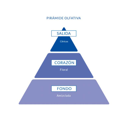 Aire de Sevilla - Eau de toilette for woman 150ml - Orange blossom