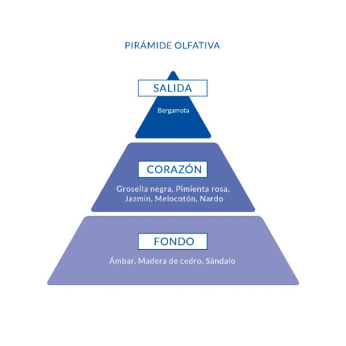 Aire de Sevilla - Eau de toilette for woman 150ml - Chicca Bonita