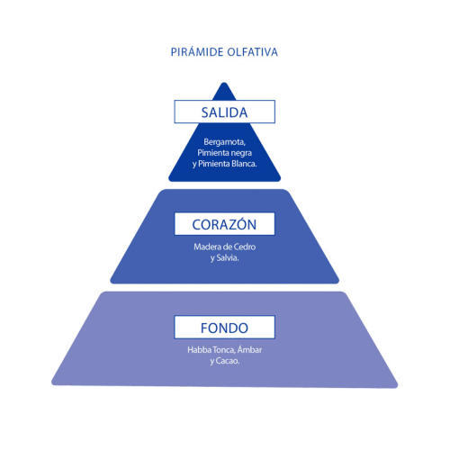 Poseidon - Pack of Eau de toilette for men - Poseidon Men