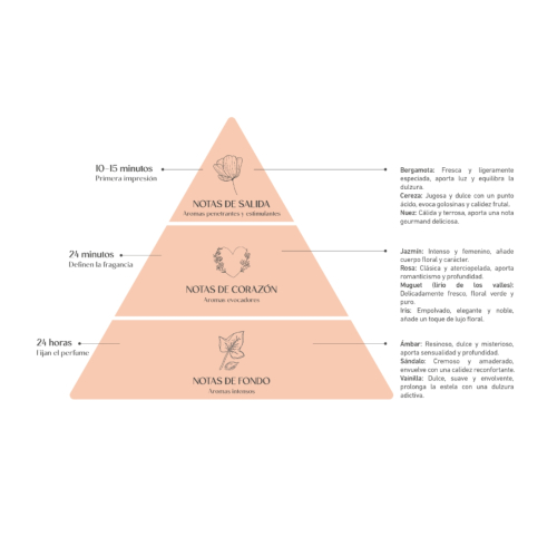 Alma Secret - *Home* - Mikado air freshener - Amber & Vanilla