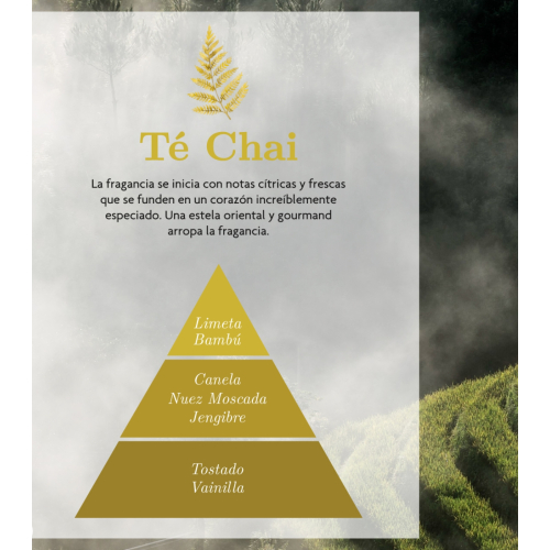 AMBAR Perfums - *Zen* - Air Freshener Spray - Activation: Chai Tea