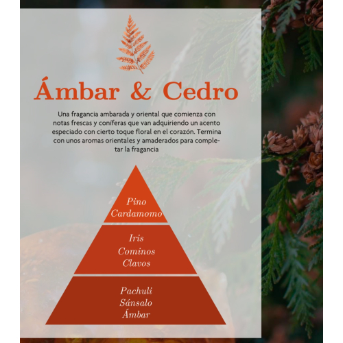 AMBAR Perfums - *Zen* - Mikado Air Freshener - Strength: Amber and Cedar