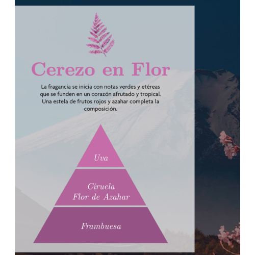 AMBAR Perfums - *Zen* - Mikado air freshener - Rebirth: Cherry blossom