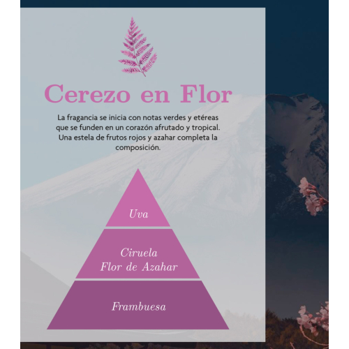 AMBAR Perfums - *Zen* - Car Air Freshener - Rebirth: Cherry Blossom