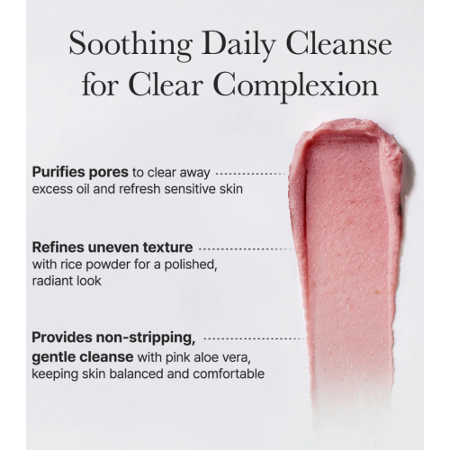 Arencia - Facial Cleanser Fresh Rosehip Mochi