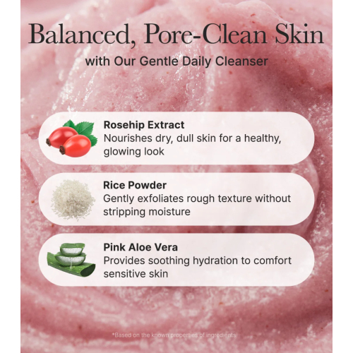 Arencia - Facial Cleanser Fresh Rosehip Mochi