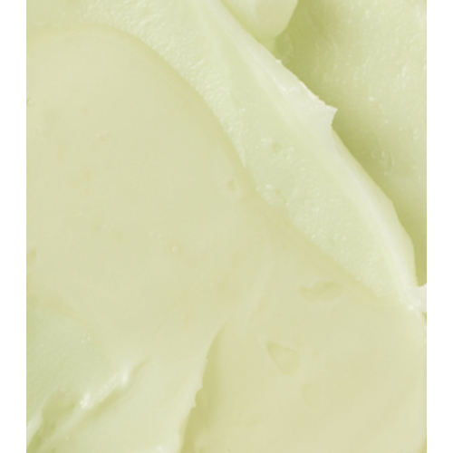 Beauty of Joseon - Facial sunscreen SPF50+ Matte sun stick: Mugwort + Camilia