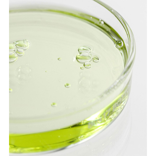 Beauty of Joseon - Green Tea + Panthenol Soothing Facial Serum