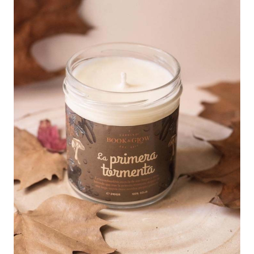 Book and Glow - *Perfect Moments* - Soy Candle - La primera tormenta