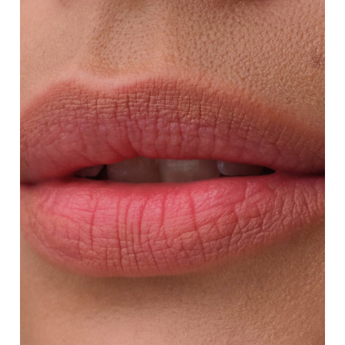 Catrice - Lip Liner Blur-Real - 030: Defined