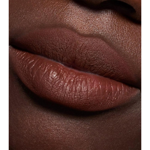 Catrice - Lip liner Plumping Lip Liner - 170: Chocolate Lover