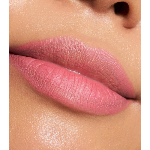 Catrice - Lip Liner Plumping Lip Liner - 190: I Like To Mauve It