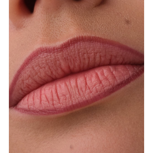 Catrice - Lip liner Precision Ink - 010: Hold Tight