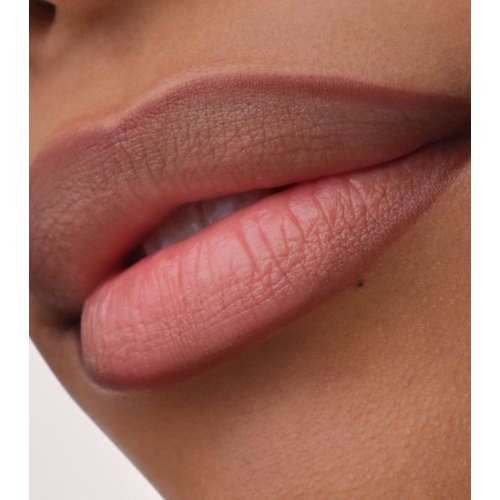 Catrice - Lip liner Precision Ink - 010: Hold Tight
