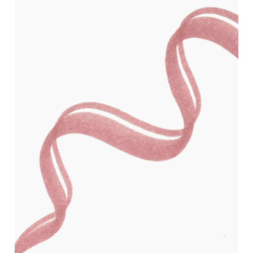 Catrice - Lip liner Precision Ink - 010: Hold Tight