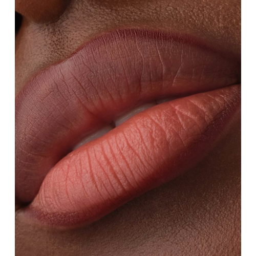 Catrice - Lip liner Precision Ink - 020: Never Yours