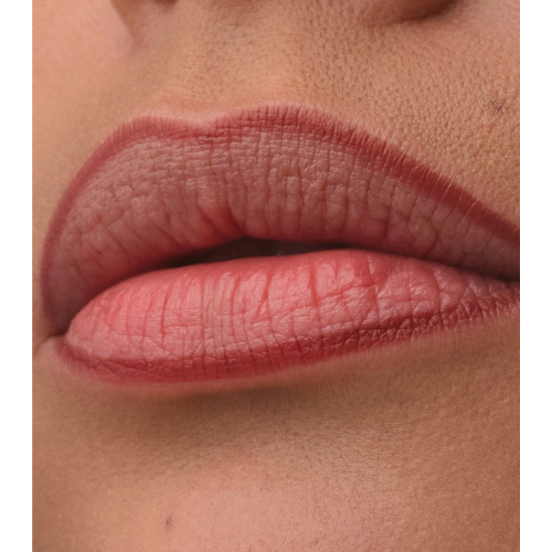 Catrice - Lip liner Precision Ink - 030: Over It Anyway
