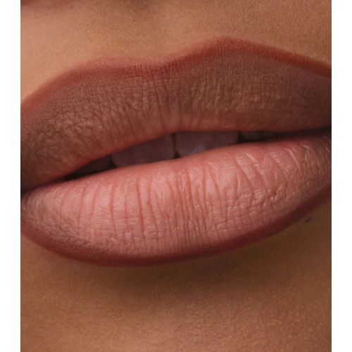 Catrice - Lip liner Precision Ink - 030: Over It Anyway