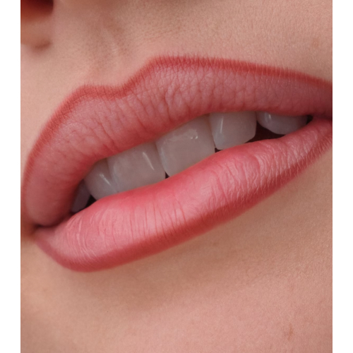 Catrice - Lip liner Precision Ink - 040: Always Mine