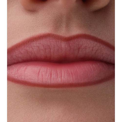 Catrice - Lip liner Precision Ink - 060: Kept Close