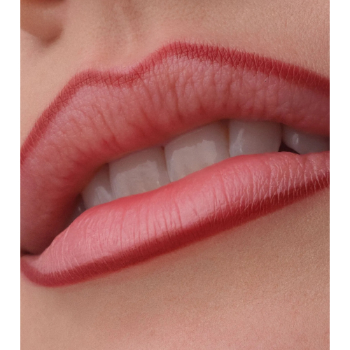 Catrice - Lip liner Precision Ink - 080: Lines In Loyality