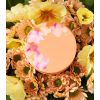 Catrice - *Seeking Flowers* - Powder Finish Cream Highlighter - C01: Watch Me Bloom