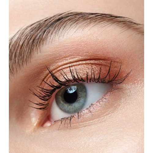 Catrice - Eyeshadow Art Couleurs - 440: Bronze Bliss