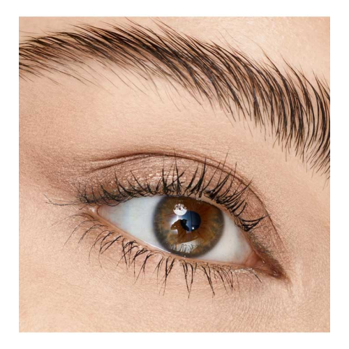 Catrice - Eyeshadow Stick Aloe Vera - 010: Golden Toffee