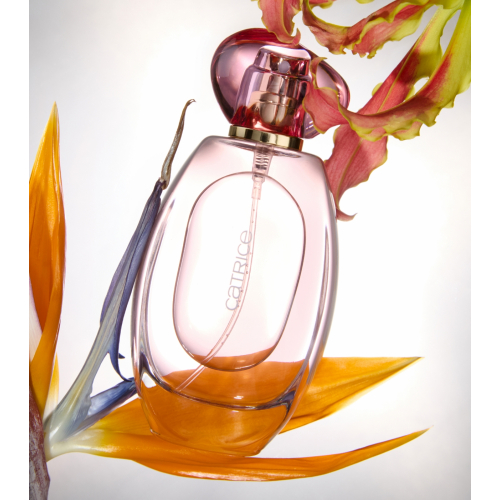 Catrice - *The Summer Edit* - Hair and body mist - L'Eau So Sunkissed!