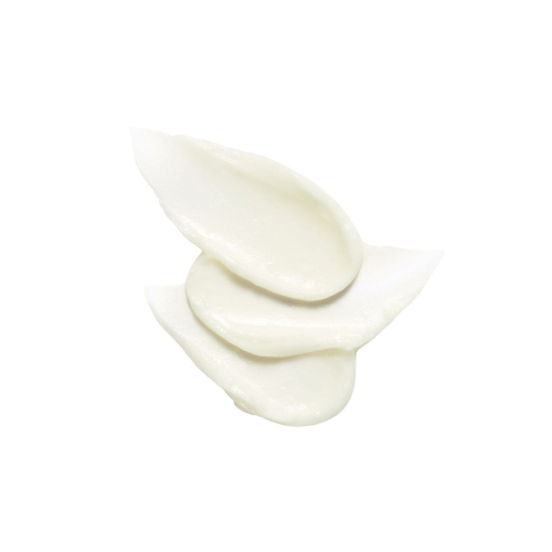 Cell Fusion C - Sunscreen stick SPF50+ PA++++ Aquatica