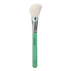 Blush Brush - 112
