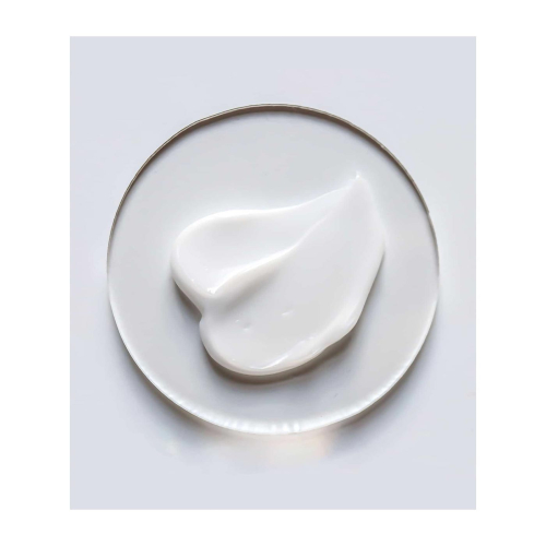 Current State - Bamboo & Amino Acid Mega Moisturizing Face Cream