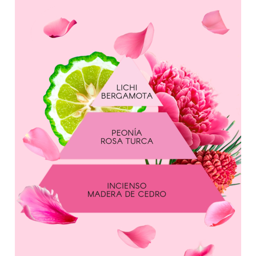 Don Algodon - Eau de toilette for women - La Vie en Rose