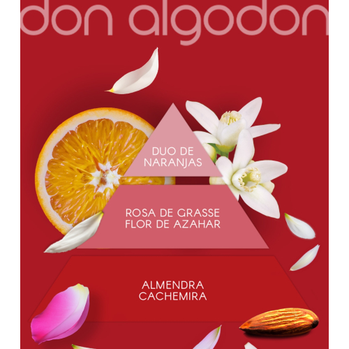 Don Algodon - Eau de toilette for women - Red Party