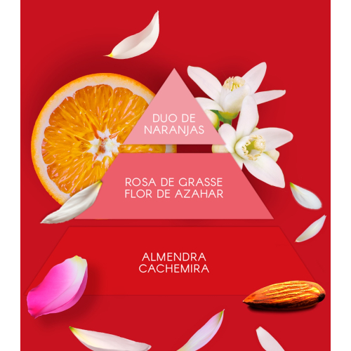 Don Algodon - Gift Set Red Party