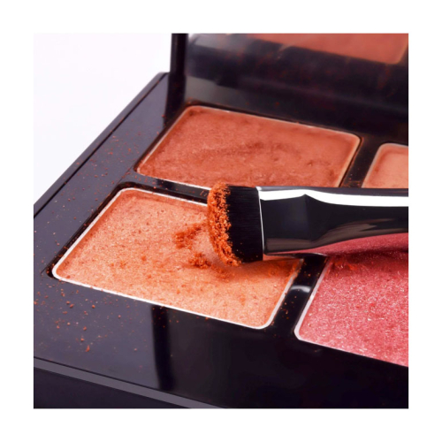 Eigshow - Detail Brush E806