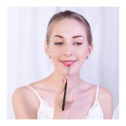 Eigshow - Lip Brush L304