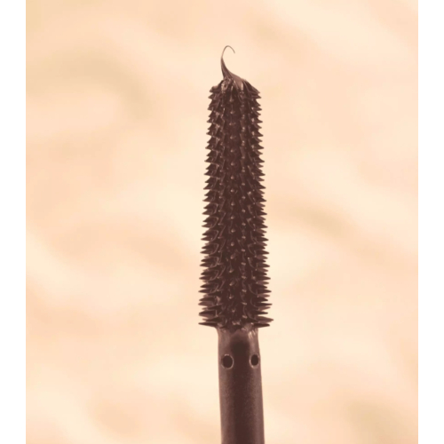 essence - *Feelin' Comfy* - Mascara Without Limits Extreme Lengthening & Volume - Brown
