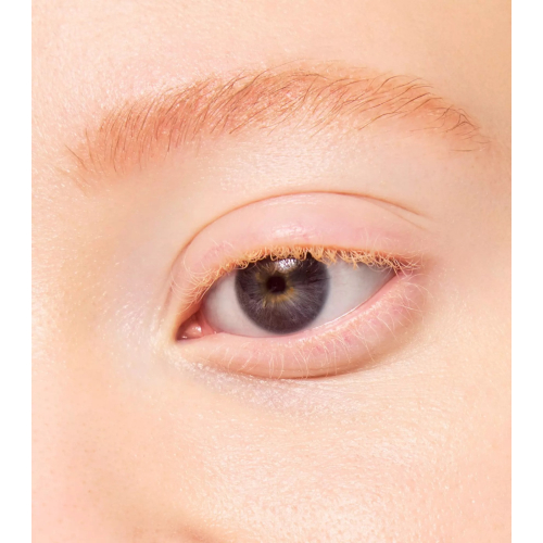 essence - Micro Precise Eyebrow Pencil - 06: Auburn