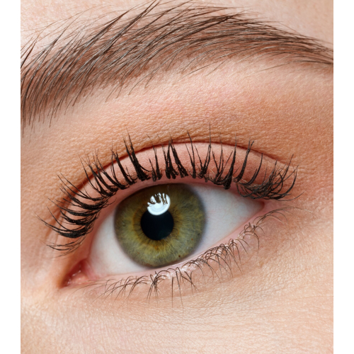 essence - Mini eyeshadow palette the BROWN edition