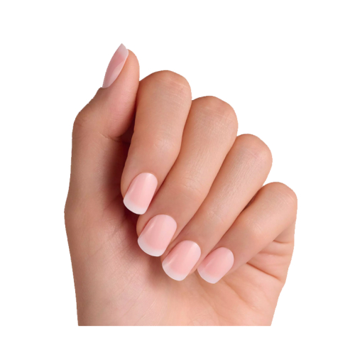 essence - False nails Click-on French Manicure - 01: Classic French