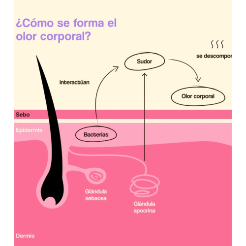 Freshly Cosmetics - Natural aluminum-free deodorant