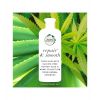 Herbal Essences - *Bio Renew* - Repairs & softens pack - Shampoo + Conditioner + Anti-frizz spray