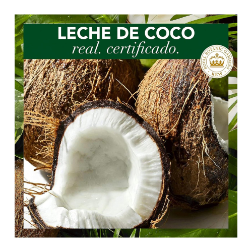 Herbal Essences - Shampoo + mask pack with coconut milk