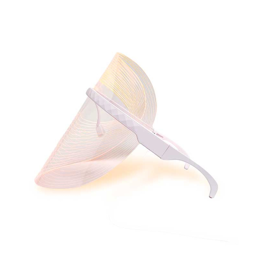 IDC Institute - LED Therapy Mask