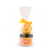 IDC Institute - Bath Bomb and Scrub Set - Orange