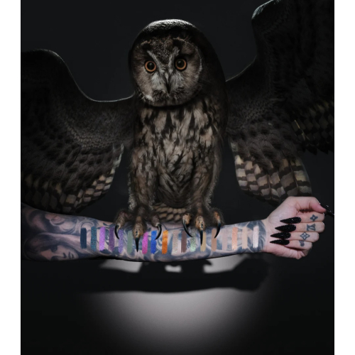 Jeffree Star Cosmetics - Night Owl Eyeshadow Palette